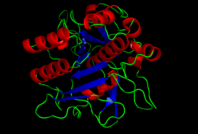 File:Crystal structure of Subtilisin - 1st2.png