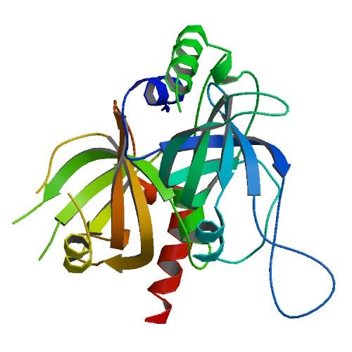 File:PBB Protein ACD image.jpg