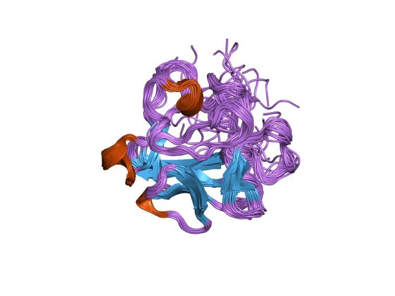 File:PDB 1dzd EBI.jpg