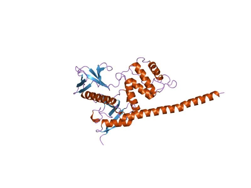 File:PDB 1e5w EBI.jpg