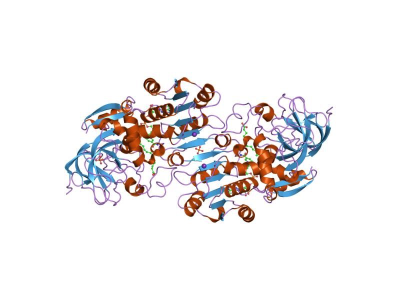 File:PDB 1ma0 EBI.jpg