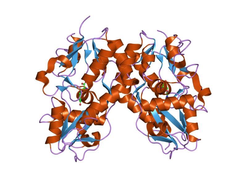 File:PDB 1syi EBI.jpg