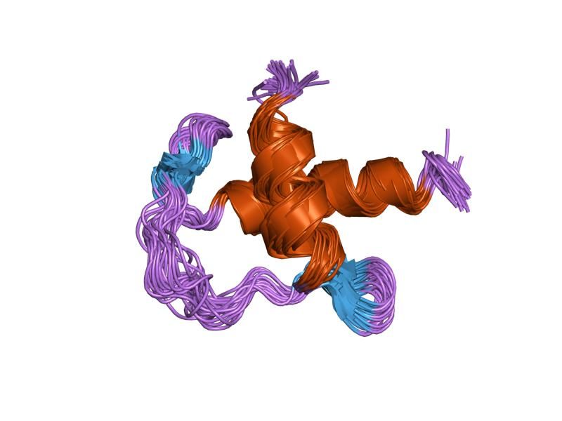 File:PDB 1uuc EBI.jpg