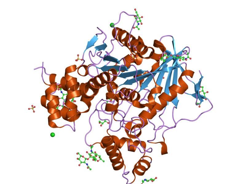 File:PDB 1xlw EBI.jpg