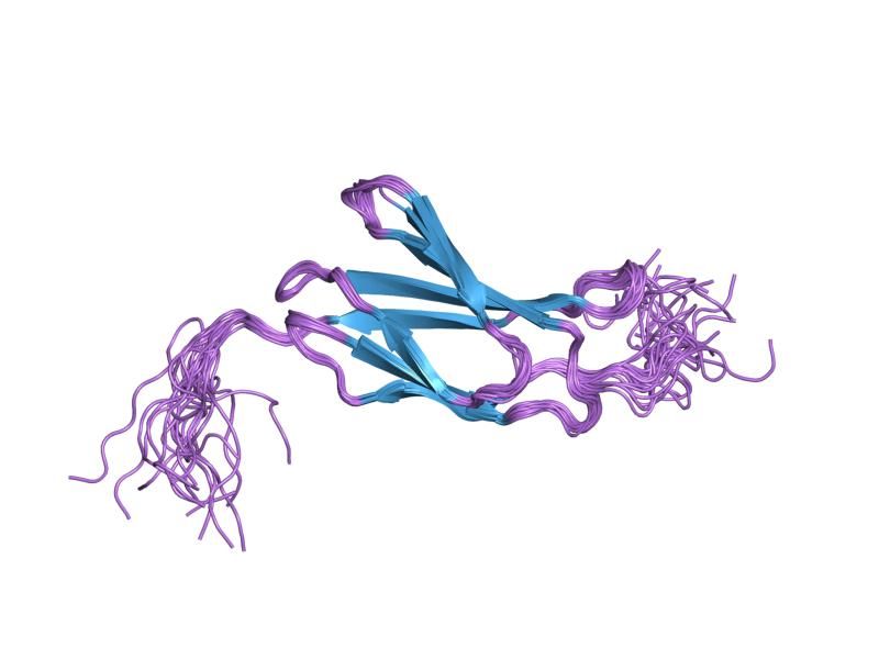 File:PDB 2cum EBI.jpg