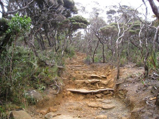 File:Path of Mount Kinabalu.jpg