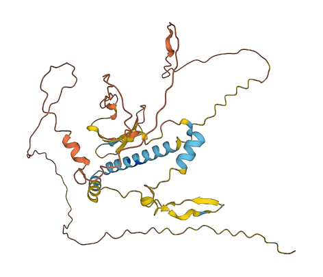 File:Predicted Structure of FAM131A.png