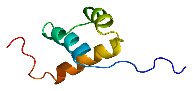 File:Protein ISL1 PDB 1bw5.png