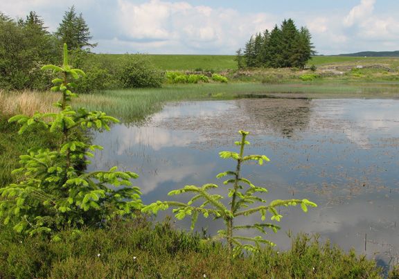 File:GryfeReservoir.jpg