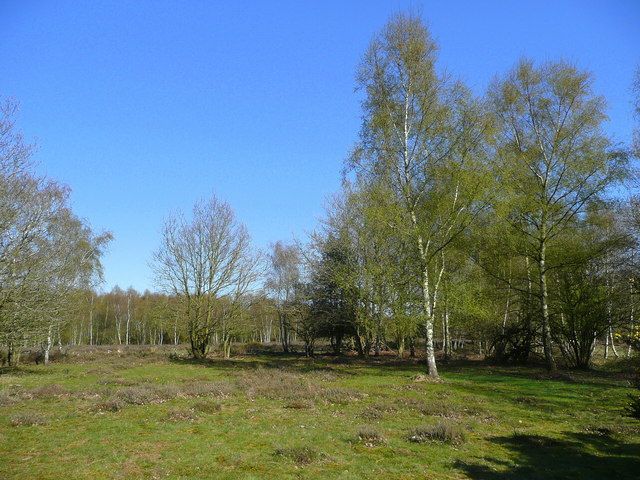 File:Hazeley Heath - geograph.org.uk - 862263.jpg