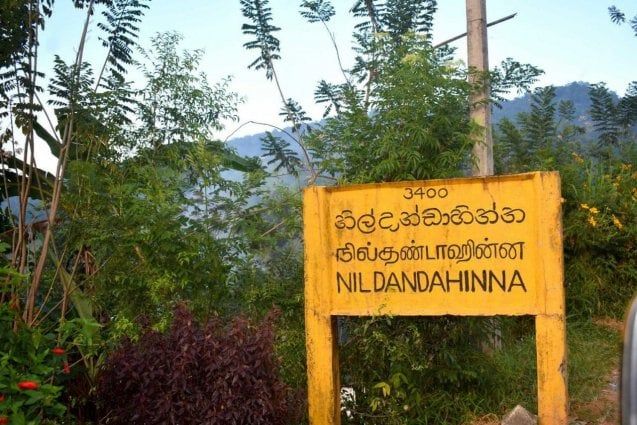 File:Nildandahinna.jpg