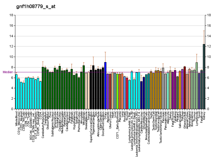 File:PBB GE EMX1 gnf1h08779 s at fs.png