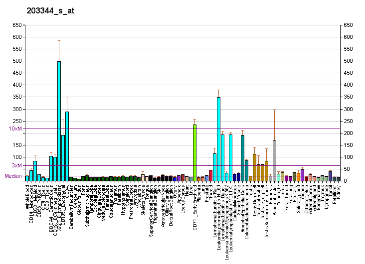 File:PBB GE RBBP8 203344 s at fs.png