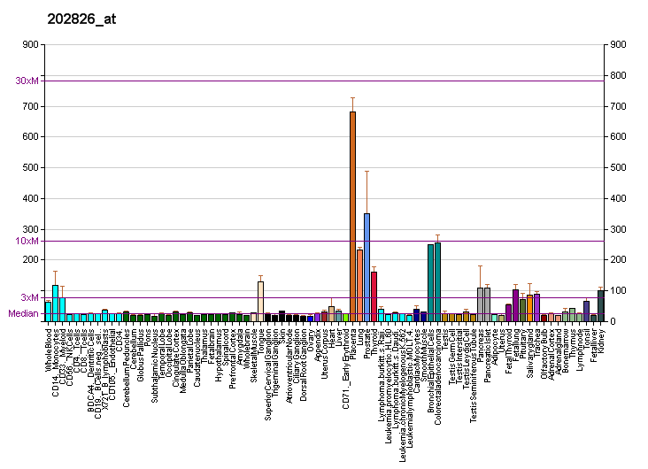 File:PBB GE SPINT1 202826 at fs.png