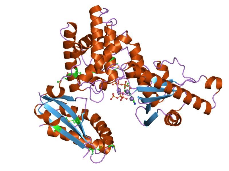 File:PDB 1f5a EBI.jpg