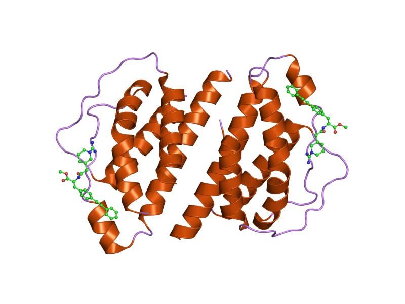 File:PDB 1m48 EBI.jpg