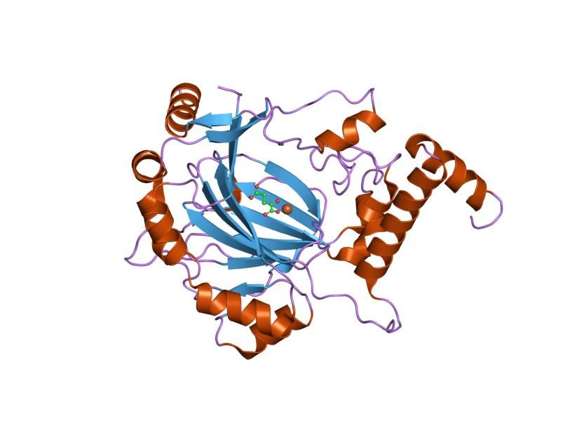 File:PDB 1mzf EBI.jpg