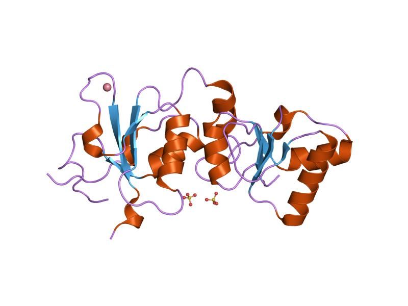 File:PDB 1n5o EBI.jpg