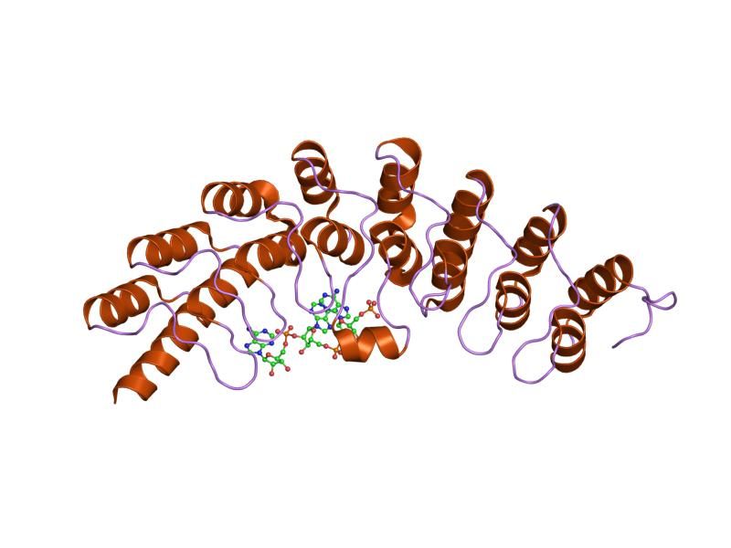 File:PDB 1wdy EBI.jpg