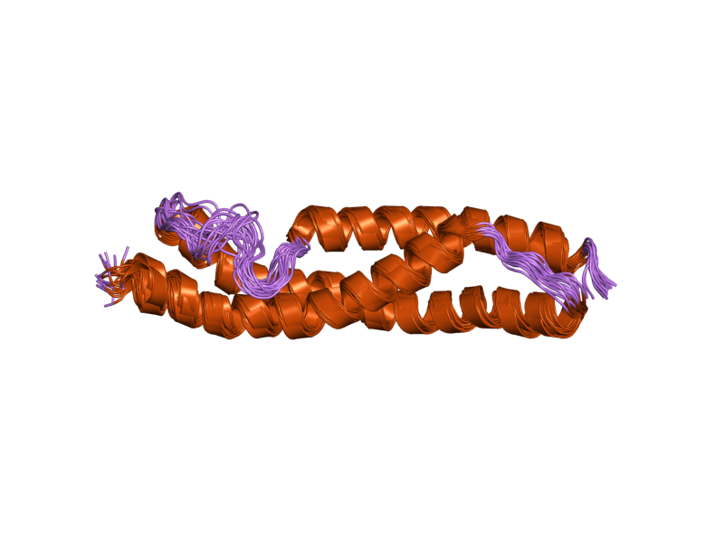 File:PDB 1wlx EBI.png