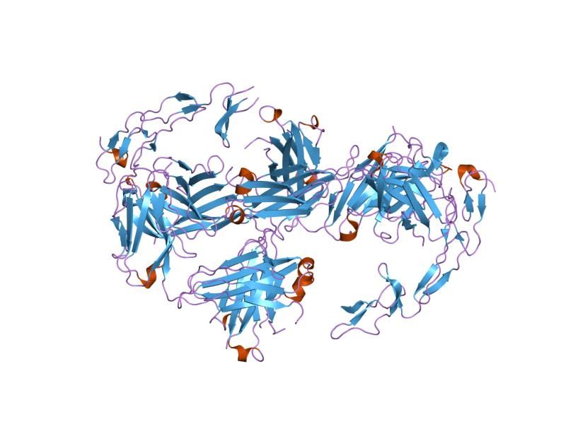 File:PDB 1za3 EBI.jpg