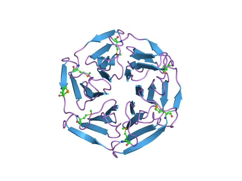 File:PDB 1zgk EBI.png