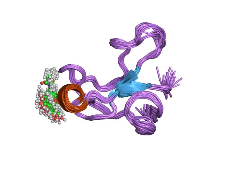 File:PDB 2fn2 EBI.jpg