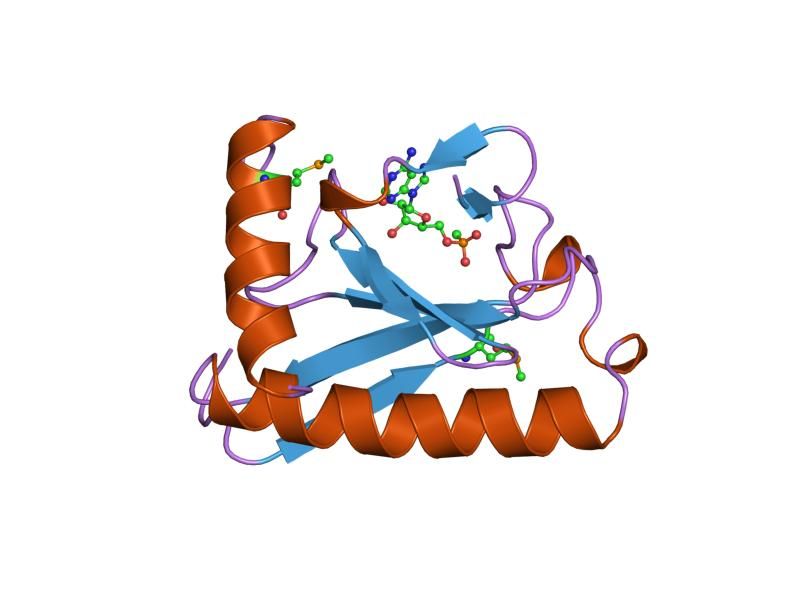 File:PDB 5fit EBI.jpg