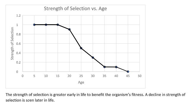 File:Strengthofselectionplot.png