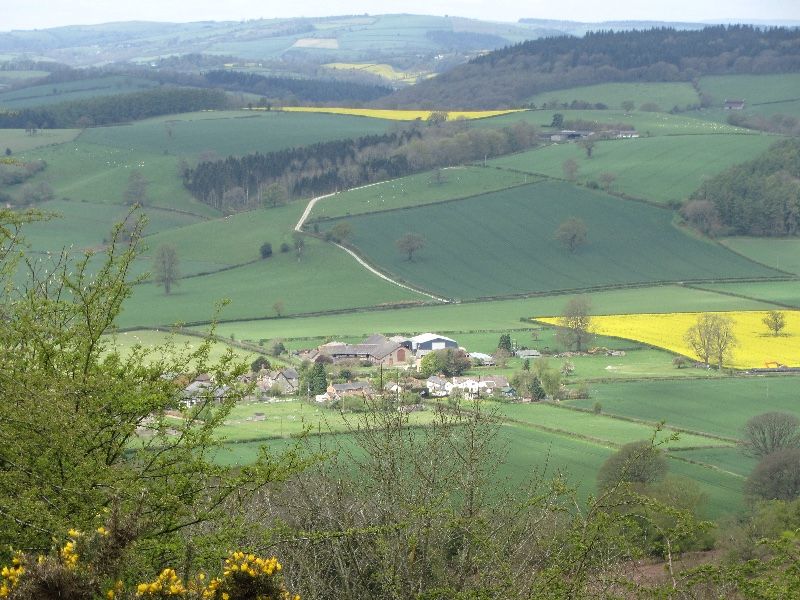 File:Yatton - geograph.org.uk - 5136693.jpg