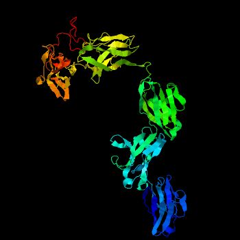 File:C17orf47 Predicted Tertiary Structure.jpg