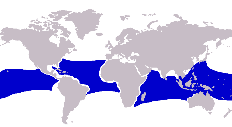 File:Caranx lugubris distribution.png