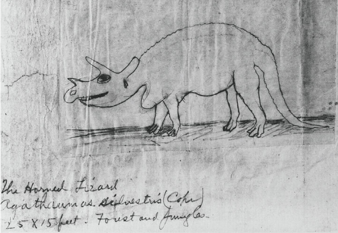 File:Cope sketch Agathaumas.png