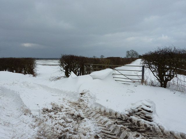 File:Drifting snow on Whalebone Lane (geograph 3382319).jpg