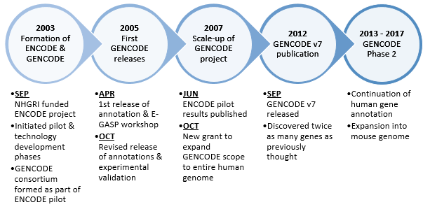 File:GENCODE timeline.png