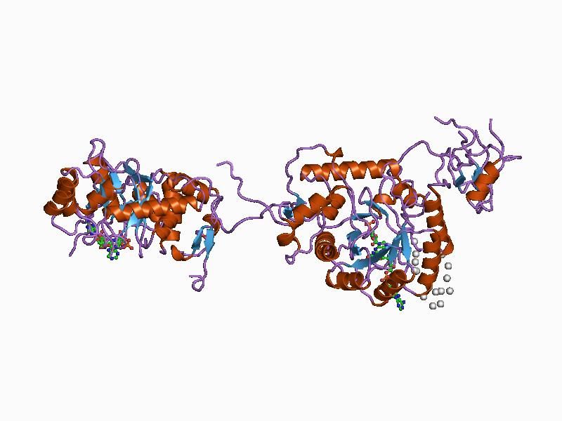 File:PDB 1b3o EBI.jpg