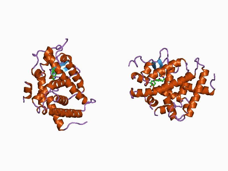 File:PDB 1bsx EBI.jpg