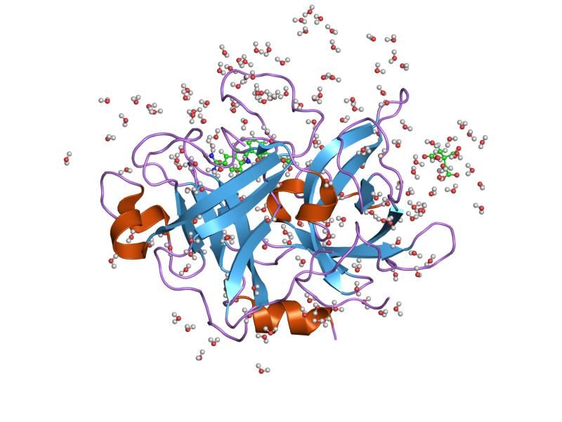 File:PDB 1o5a EBI.jpg