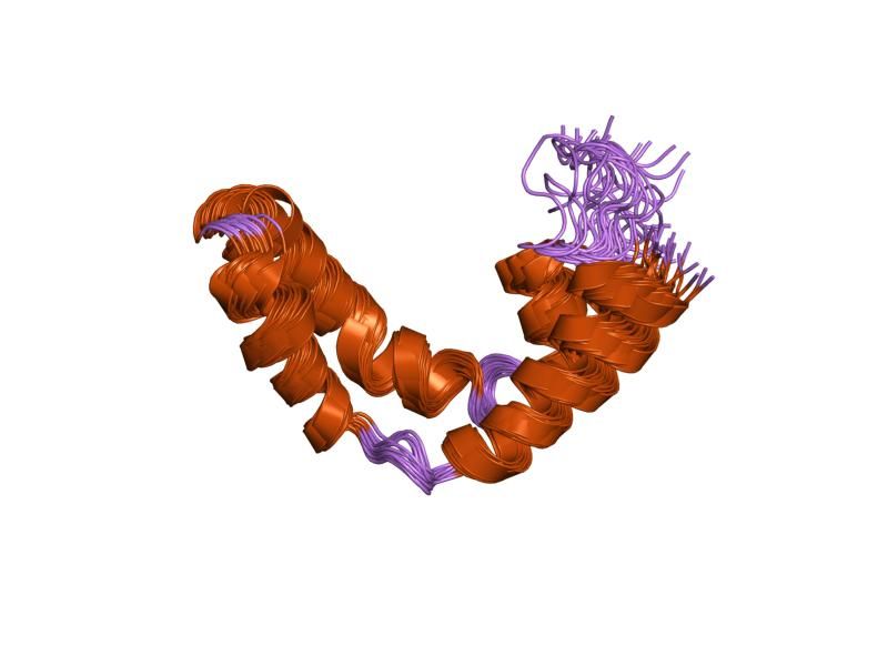 File:PDB 1sn6 EBI.jpg