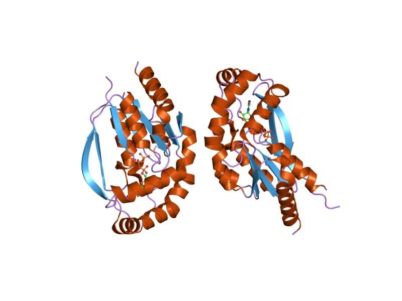 File:PDB 1udw EBI.jpg