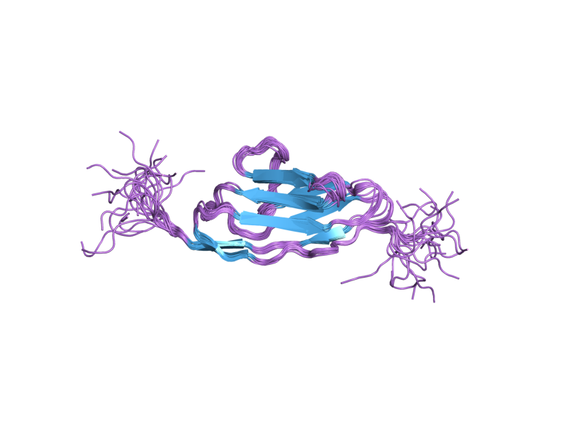 File:PDB 2dm2 EBI.png