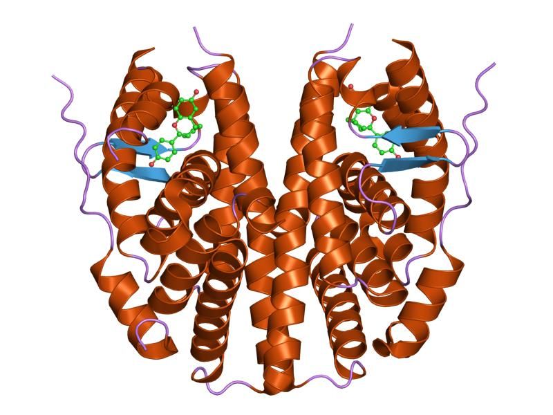 File:PDB 2i0g EBI.jpg