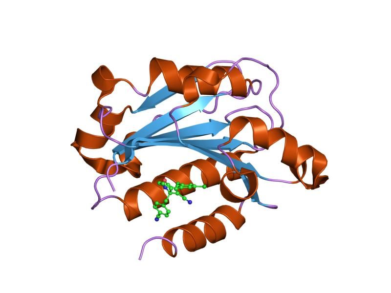 File:PDB 2o7n EBI.jpg