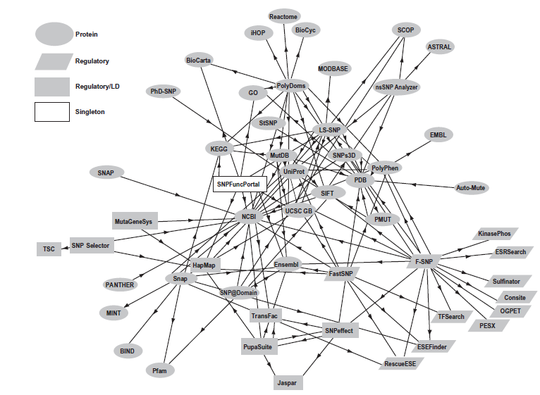 File:Relationships Among SNP Predictions.png