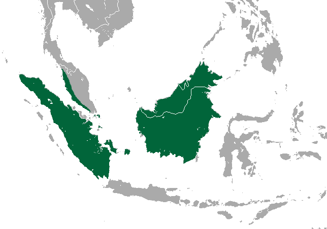 File:Silvery Lutung area.png