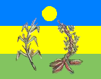 File:Bandera Pedro Gual.PNG