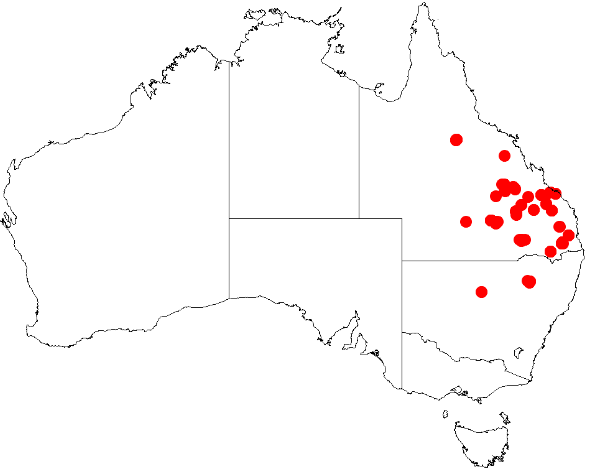 File:Bertya opponens DistMap17.png