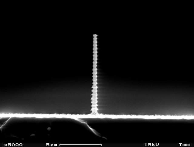 File:Black Silicon - ASE single.jpg