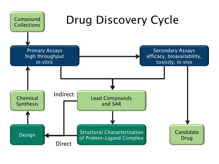 File:Drug discovery cycle 2.png