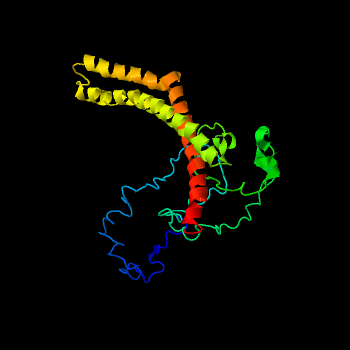 File:Human OCEL1 protein predicted 3-dimensional structure.png